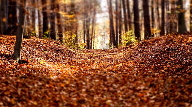 Widok na ulicę Marszałkowską w centrum Warszawy z budynkami biurowymi i kamienicami