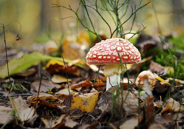 Infografika edukacji finansowej z wykresami budżetowymi i ikonami oszczędzania